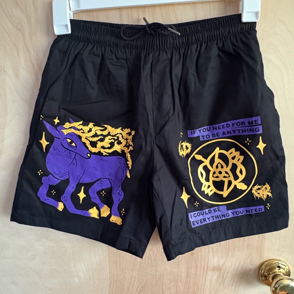 La Dispute Band Shorts